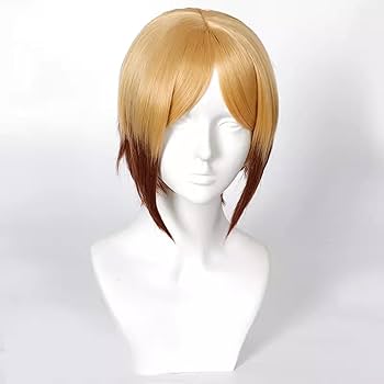 Amazon.co.jp: [Acosdary] 佐狐浩太 ウィッグ 獅子頭連 さこ